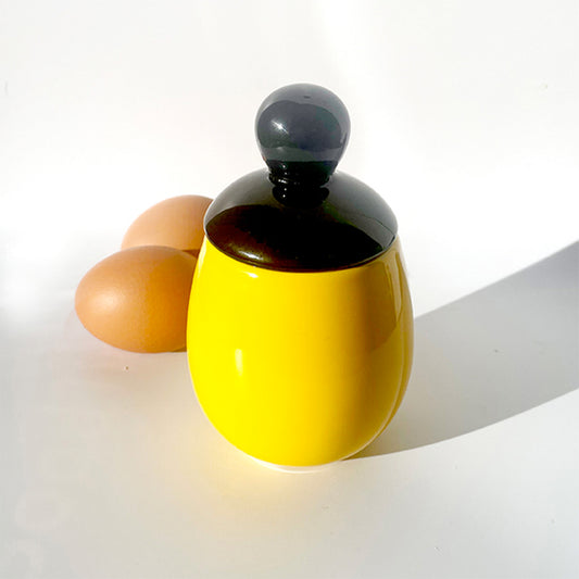 AggCoddler Karin A Porcelain Multi-Purpose Gourmet Egg Cooker